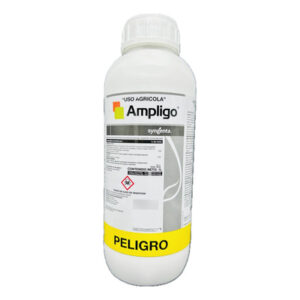 AMPLIGO X 1LTS