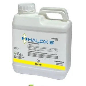 HALOX 81 X 5LTS